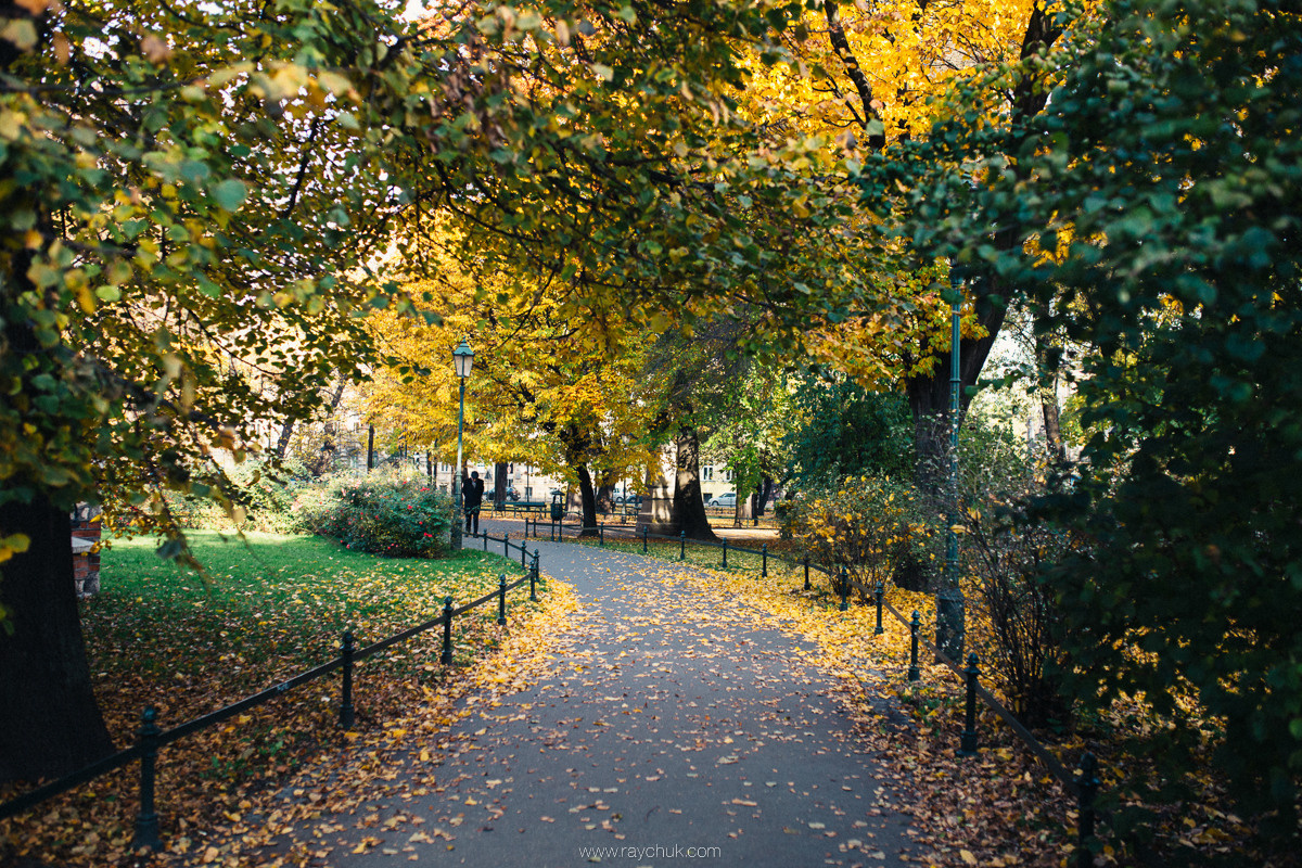 Poland. Krakow. Головна