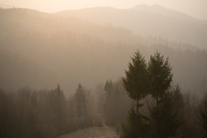 Ukraine. Sinevіr. Головна