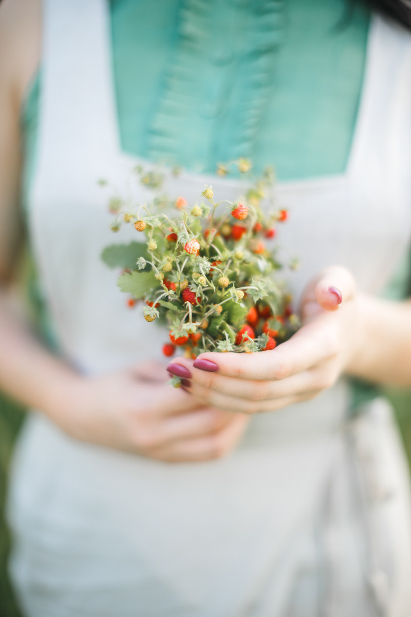 Sofia. Головна