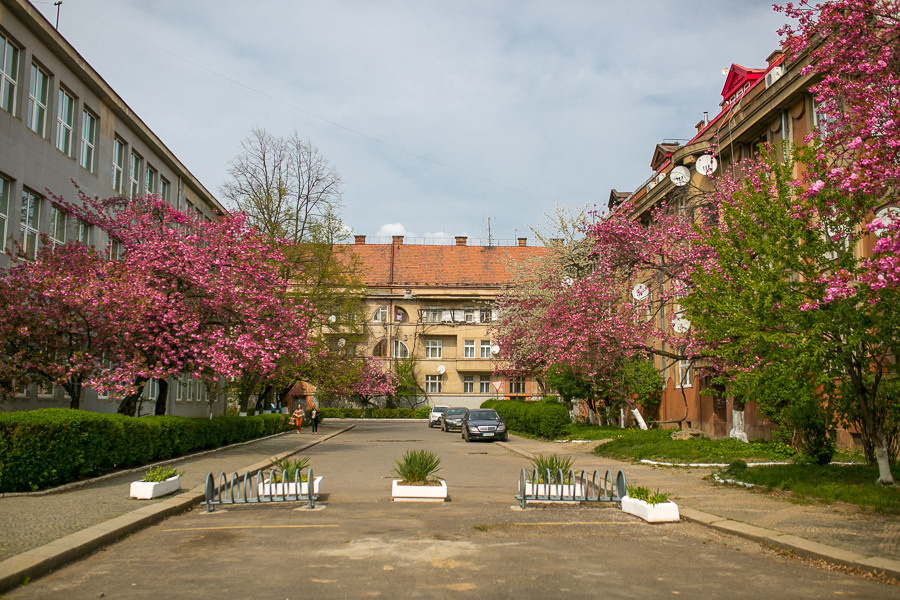 Ukraine. Uzhgorod. Головна