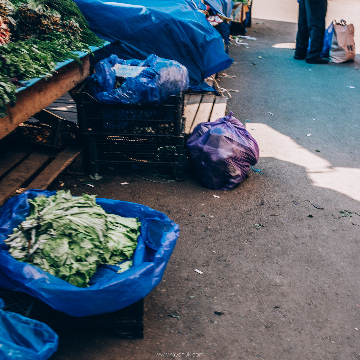 Georgia. Головна