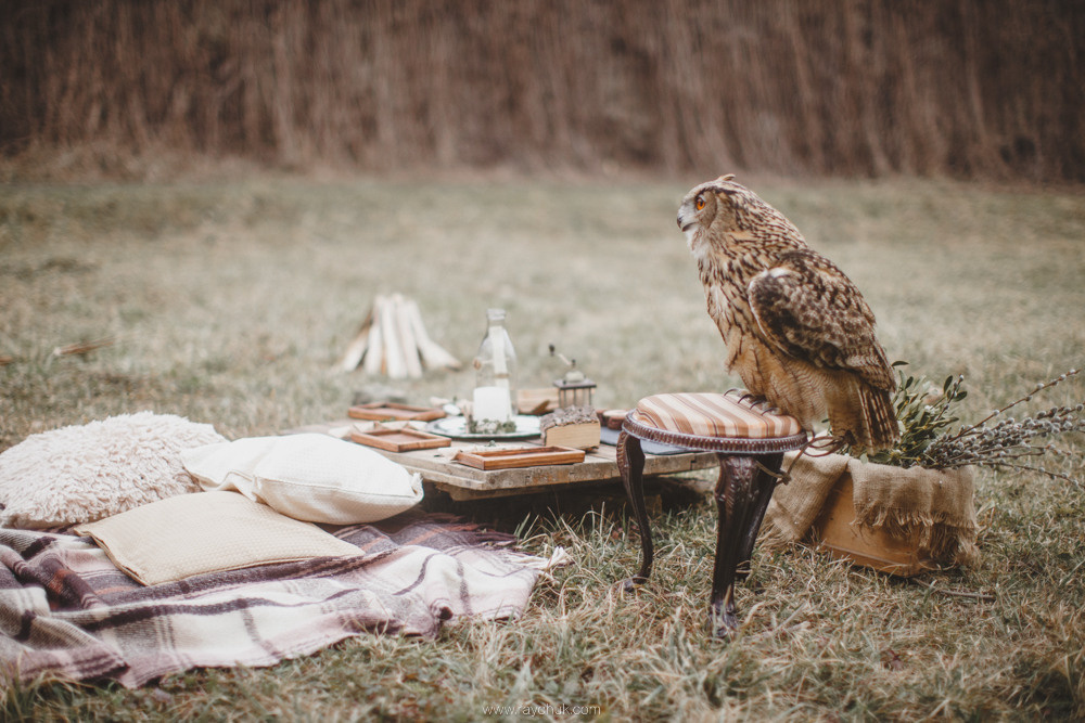 Spring is coming soon. Головна