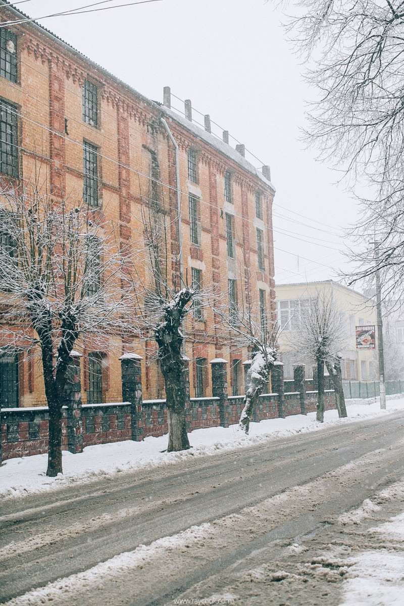 Report №8. Головна