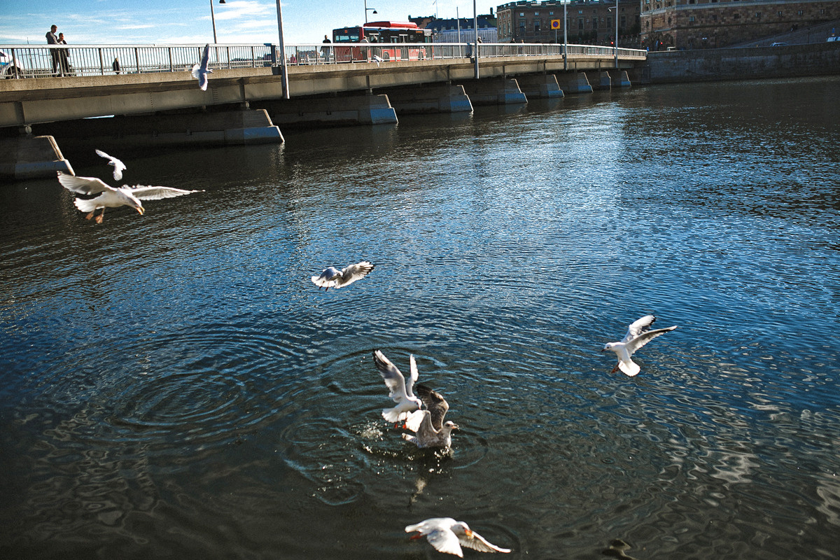 Sweden. Stockholm. Головна