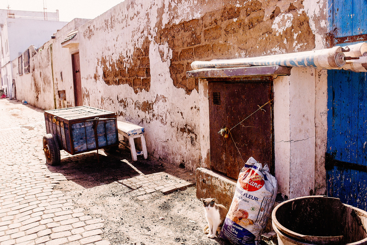 Morocco. Essaouira. Головна