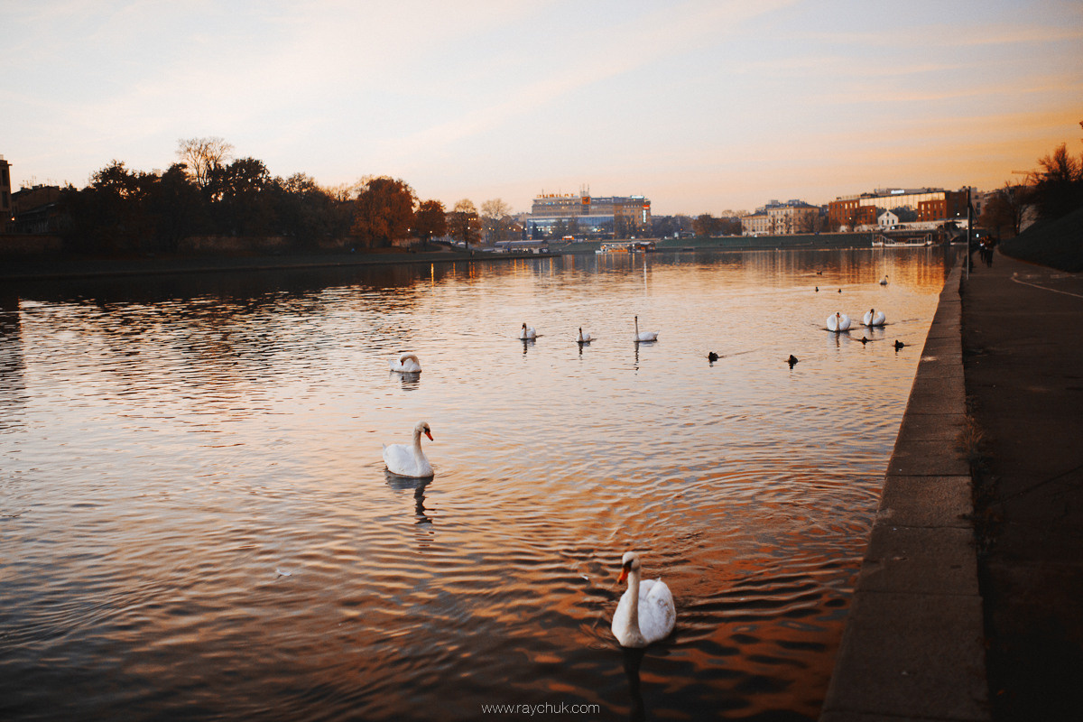 Poland. Krakow. Головна
