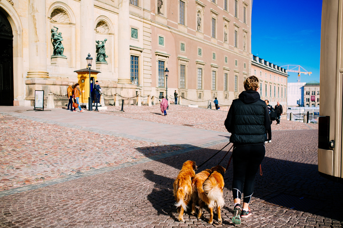 Sweden. Stockholm. Головна