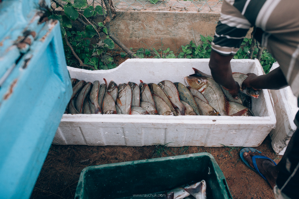 Sri Lanka. Головна