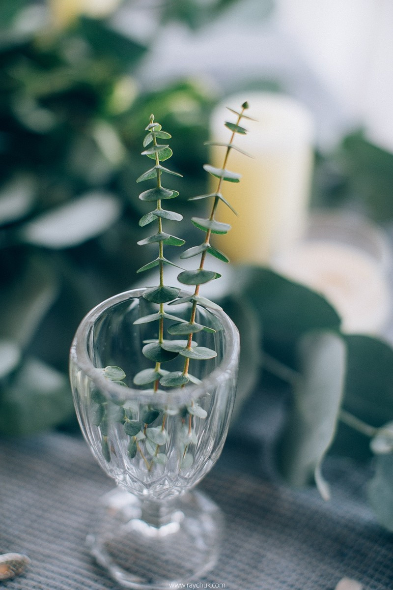 Анастасія&Олесь. Головна