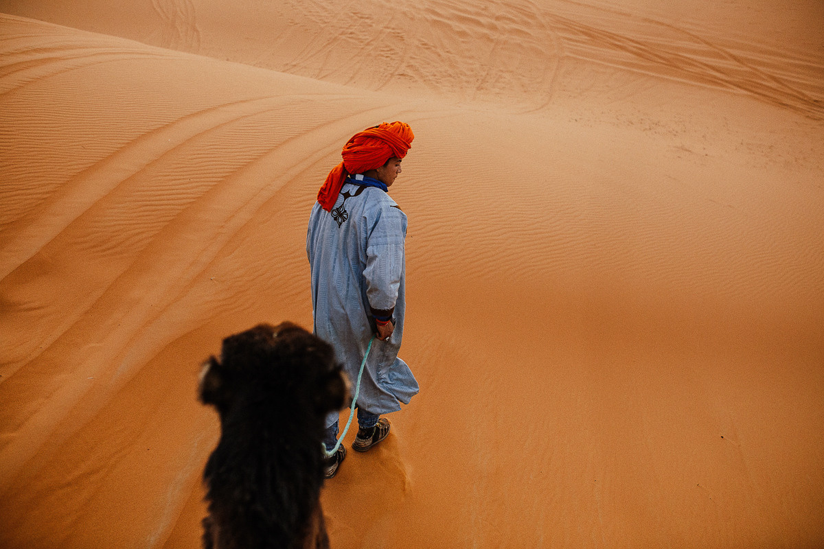 Sahara desert. Головна