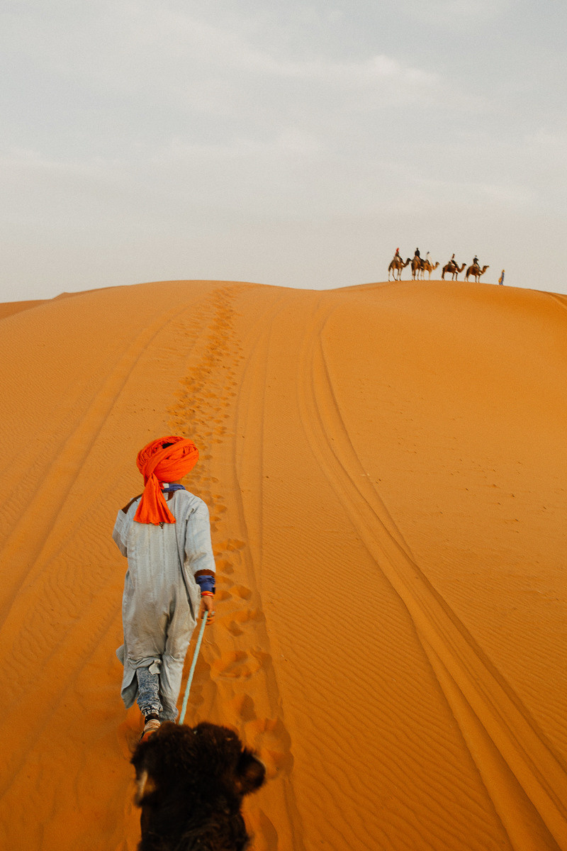 Sahara desert. Головна
