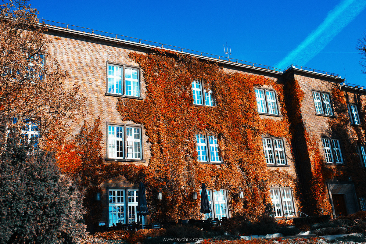 Poland. Krakow. Головна