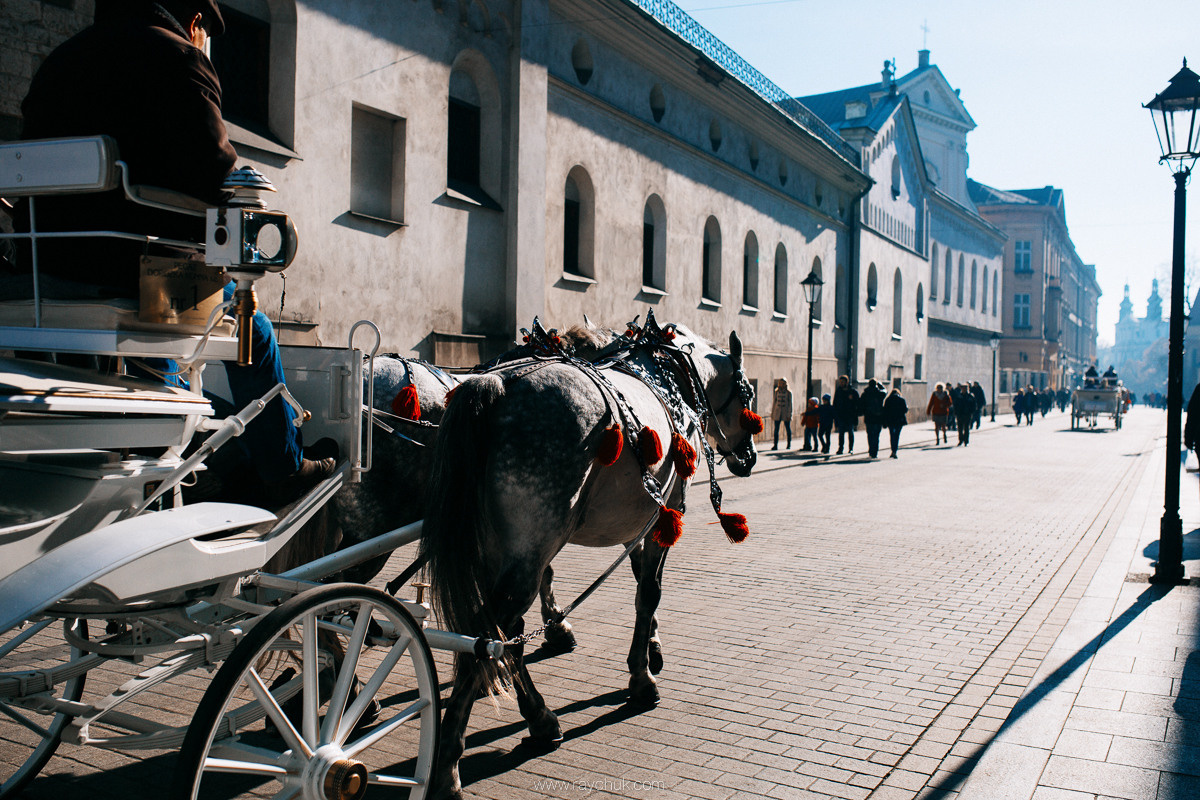 Poland. Krakow. Головна