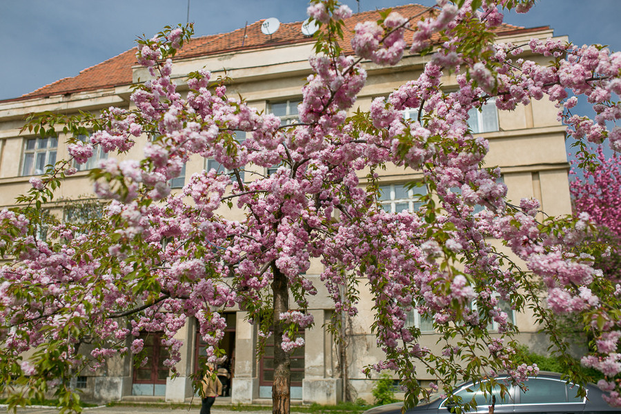 Ukraine. Uzhgorod. Головна
