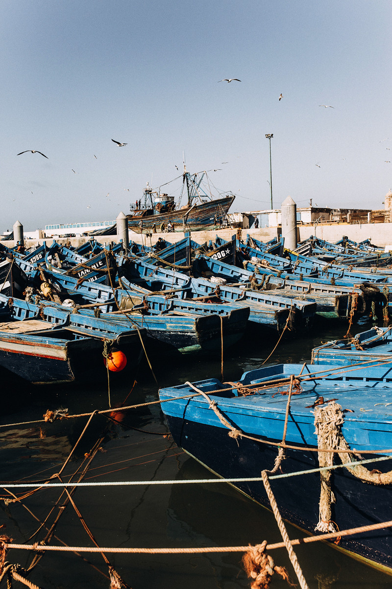 Morocco. Essaouira. Головна