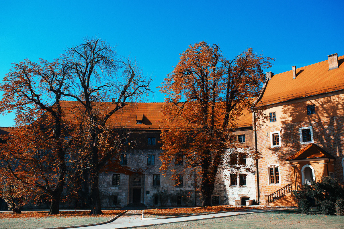 Poland. Krakow. Головна