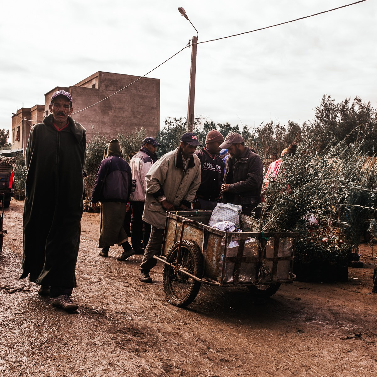 Marché marocain. Головна