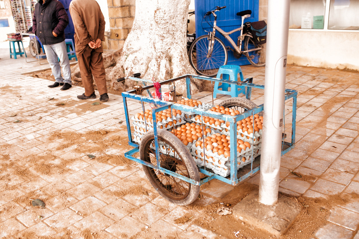 Morocco. Essaouira. Головна
