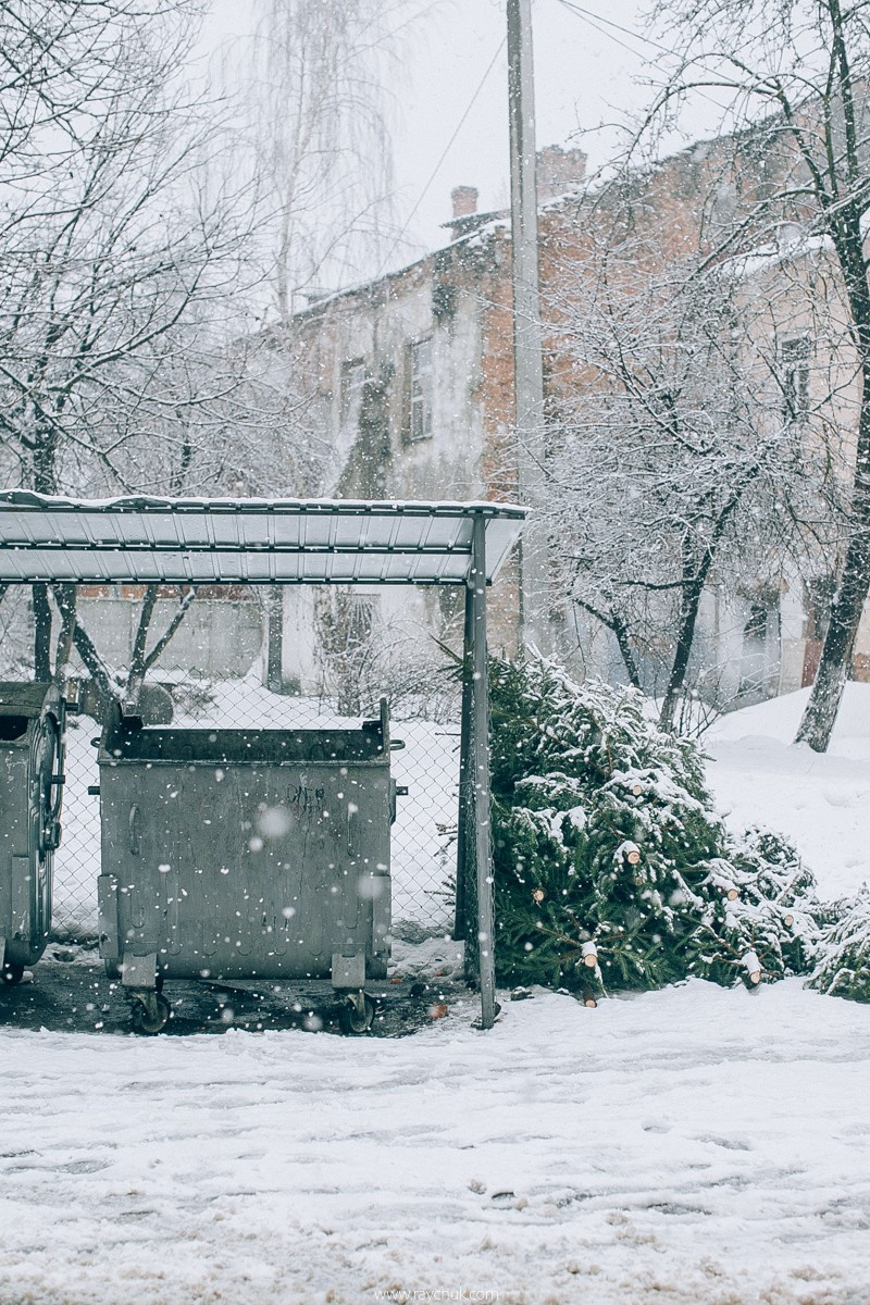 Report №8. Головна