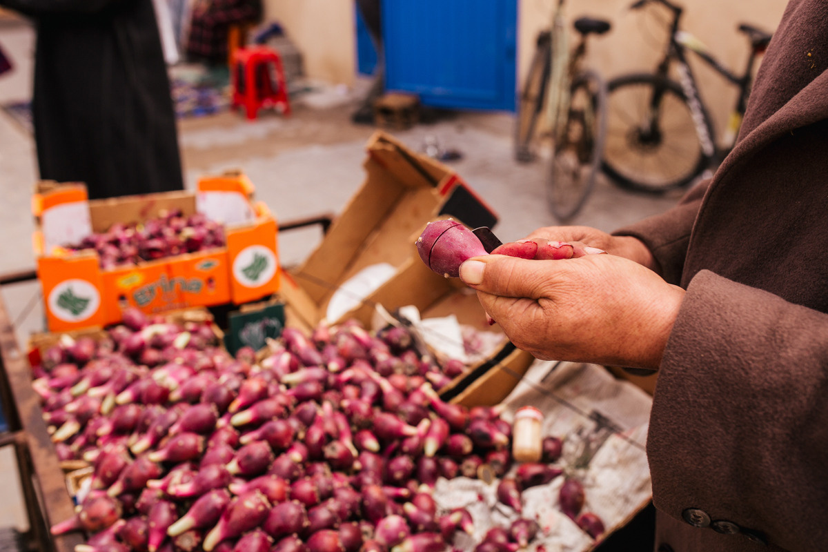 Morocco. Essaouira. Головна
