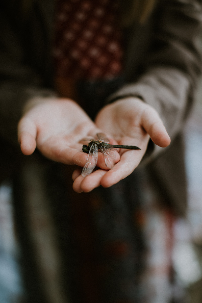 Lucy and Lisa. Головна