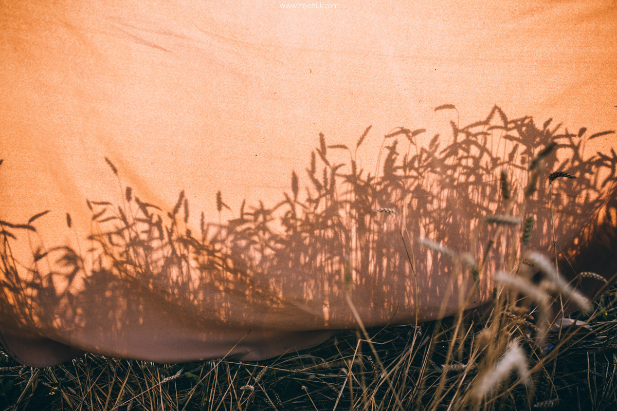 You Are My Sun. Головна