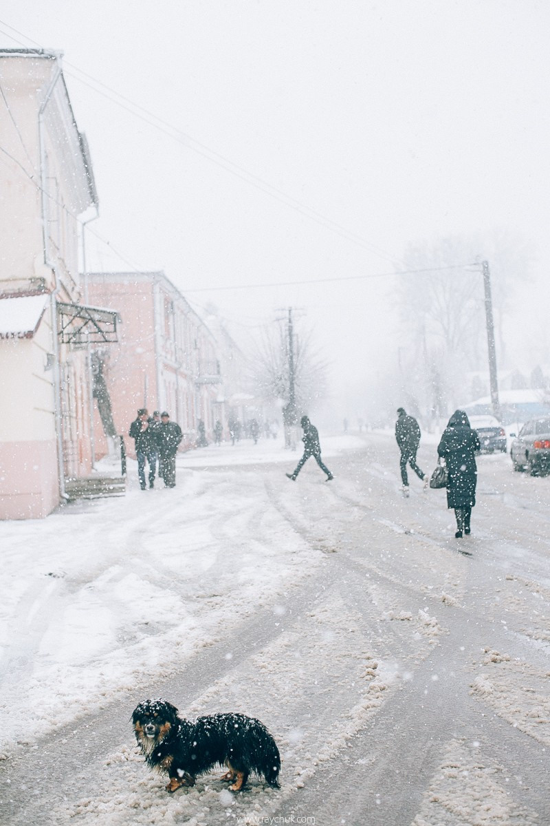 Report №8. Головна