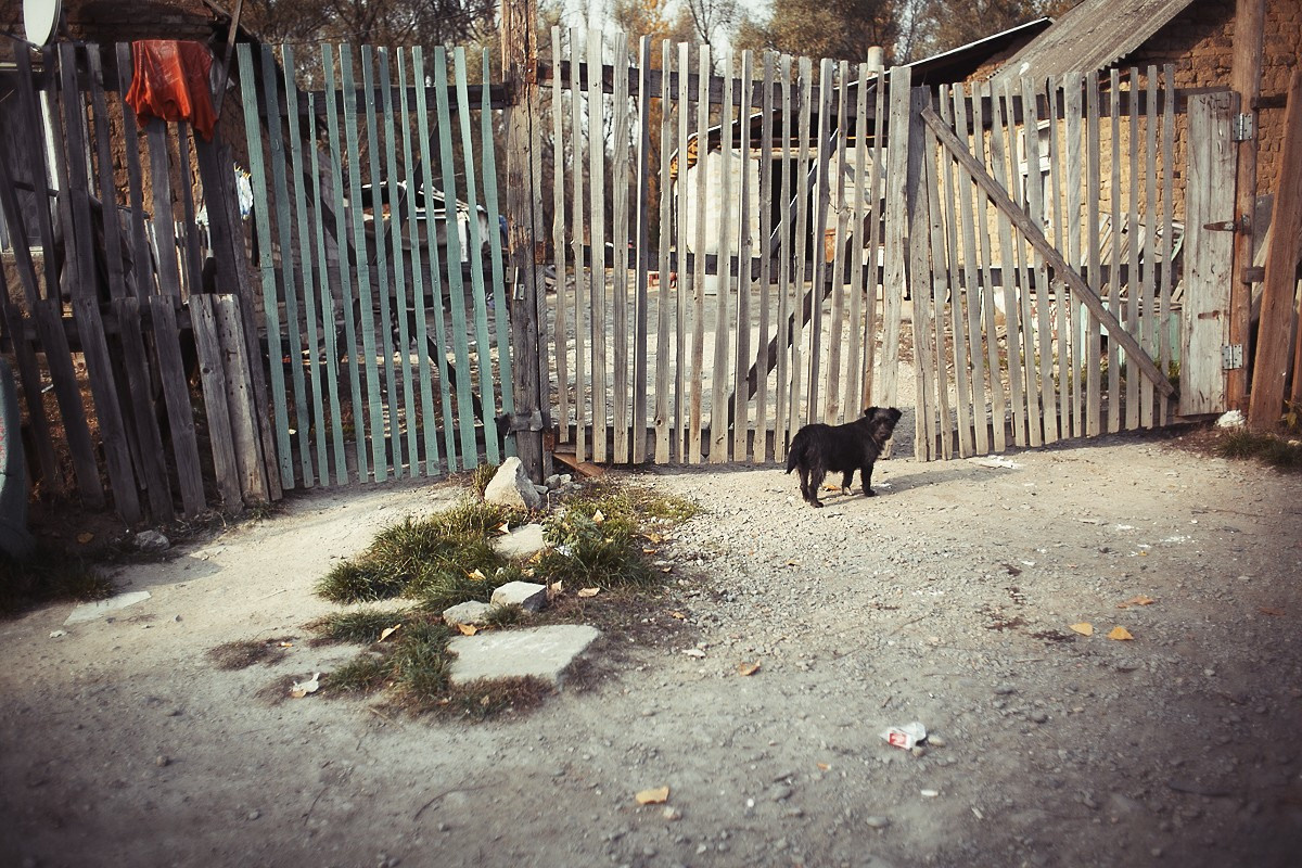 Report №7. Головна