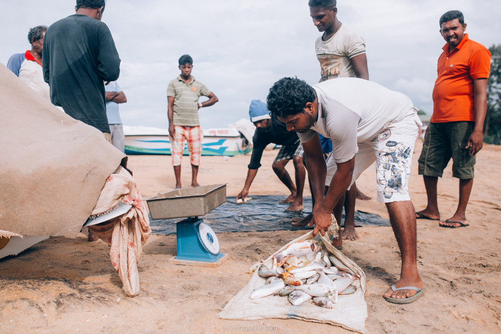 Sri Lanka. Головна