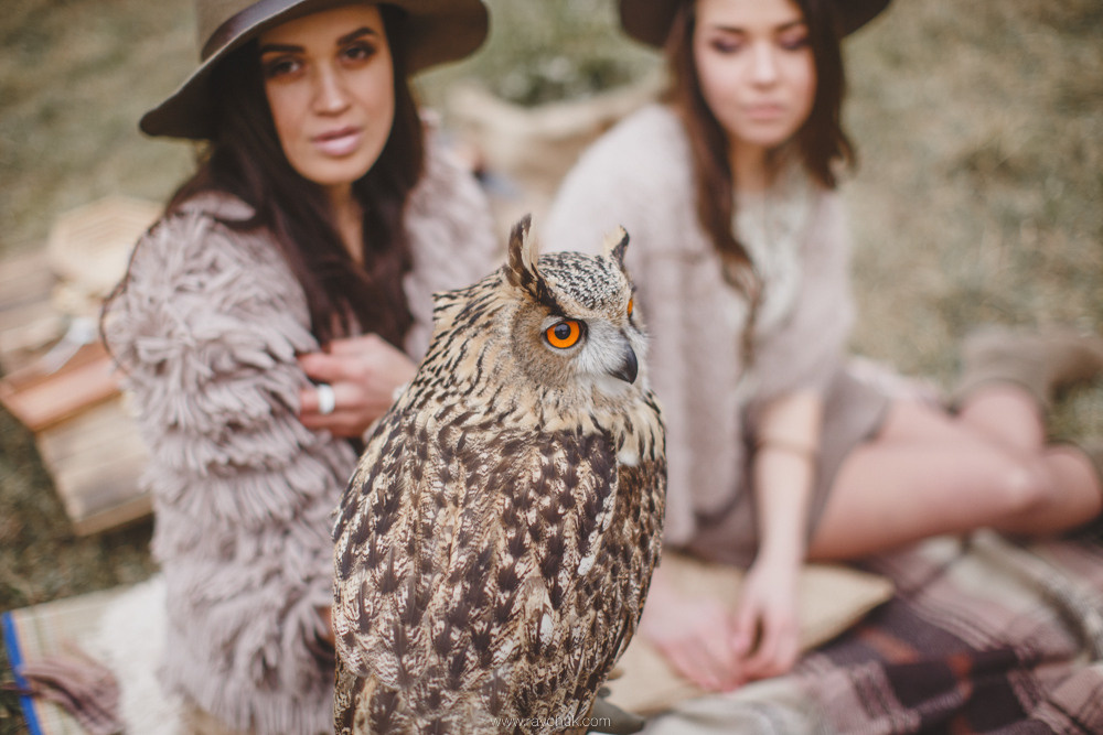 Spring is coming soon. Головна