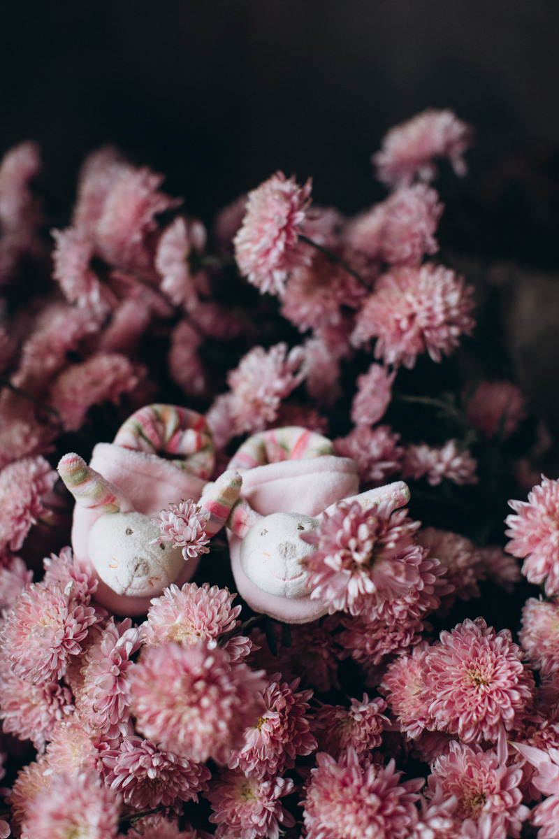 Inga. Головна