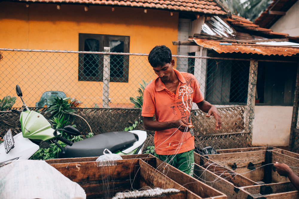 Sri Lanka. Головна