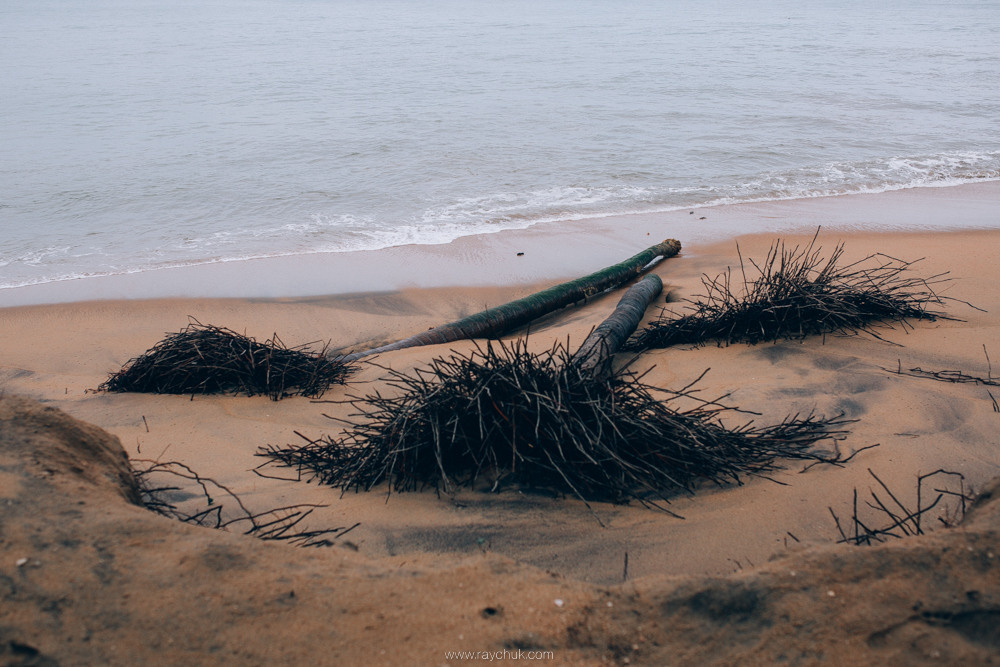 Sri Lanka. Головна