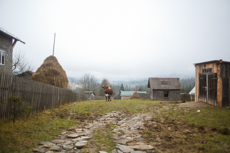 Ukraine. Precarpathian. Головна