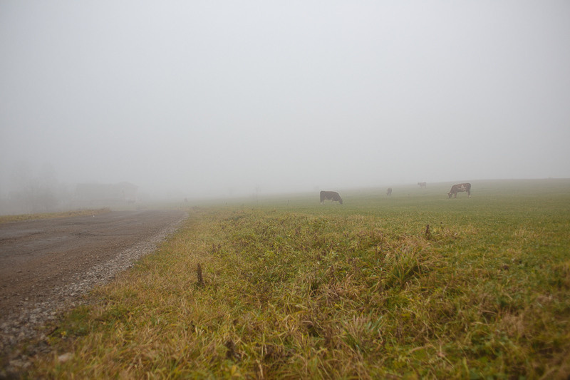 Ukraine. Precarpathian. Головна