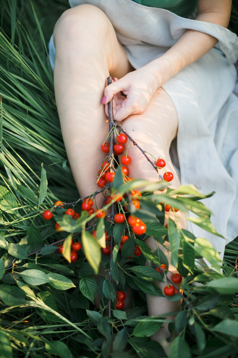 Sofia. Головна