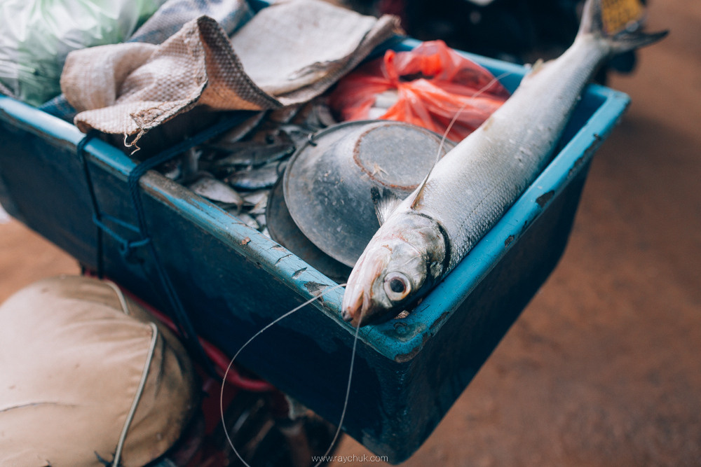 Sri Lanka. Головна
