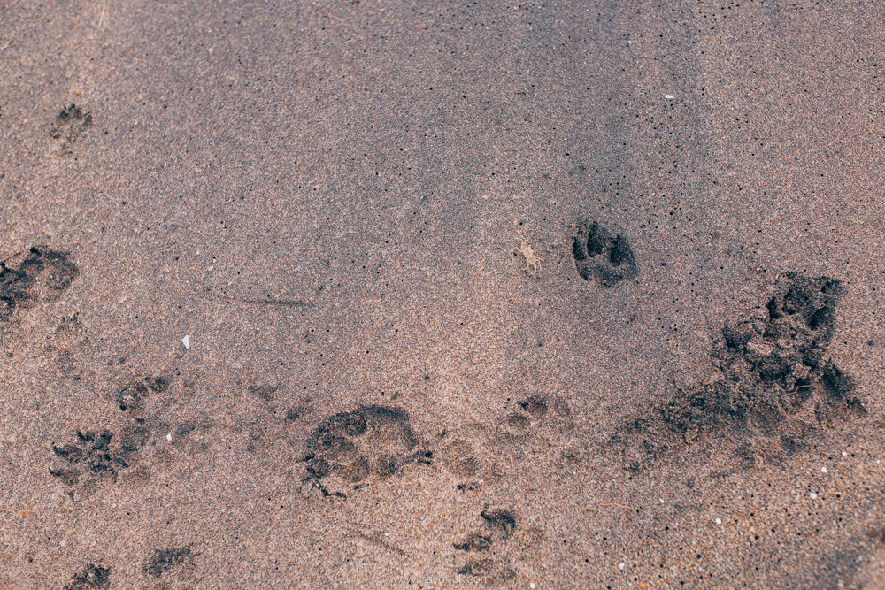 Sri Lanka. Головна