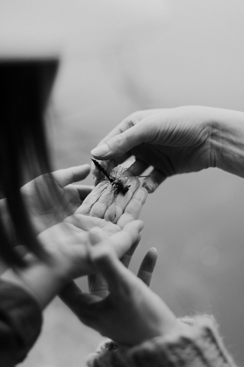 Lucy and Lisa. Головна