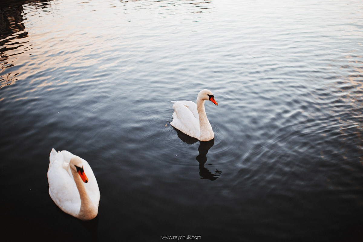 Poland. Krakow. Головна