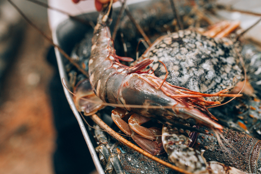 Sri Lanka. Головна