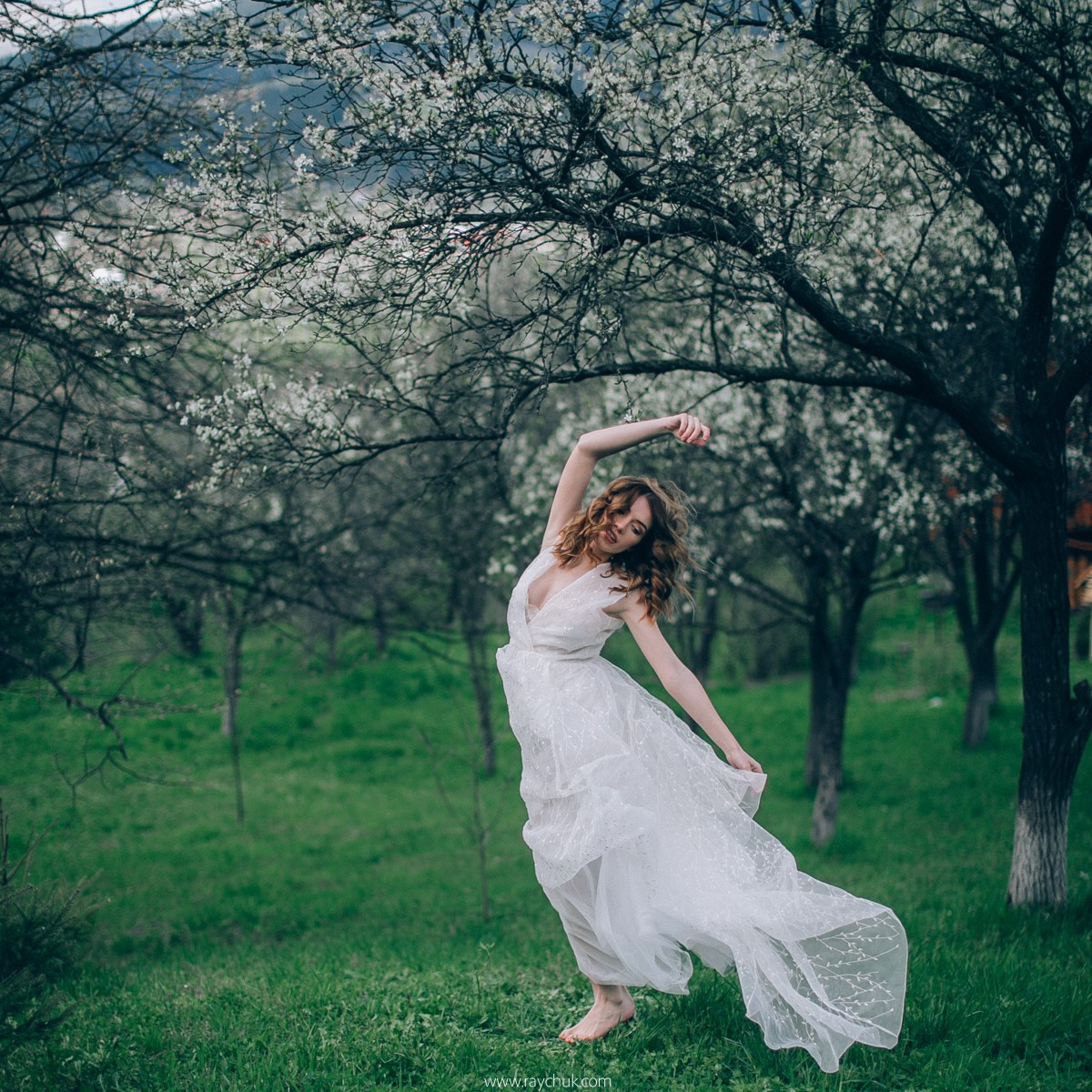 My heart is in Carpathians. Рart II. Головна