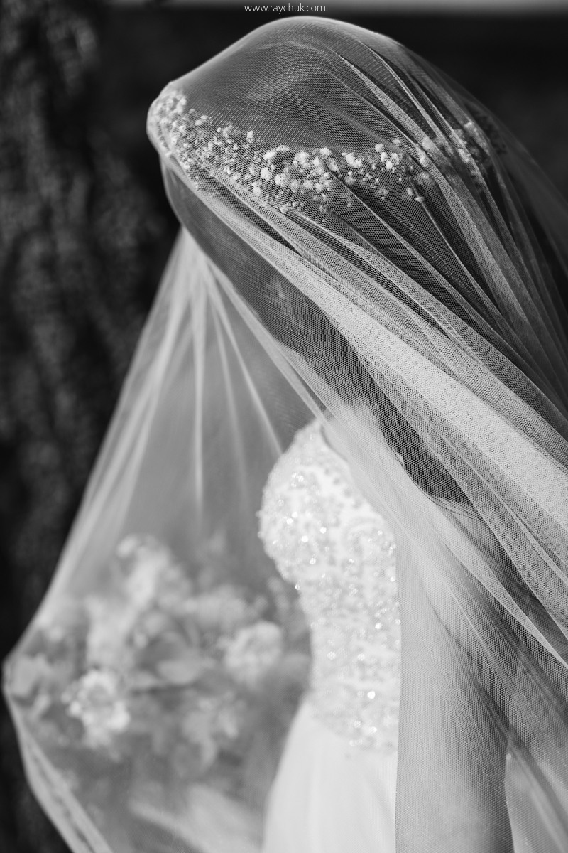 Тарас&Юля. Головна