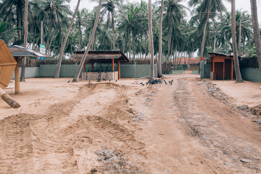 Sri Lanka. Головна