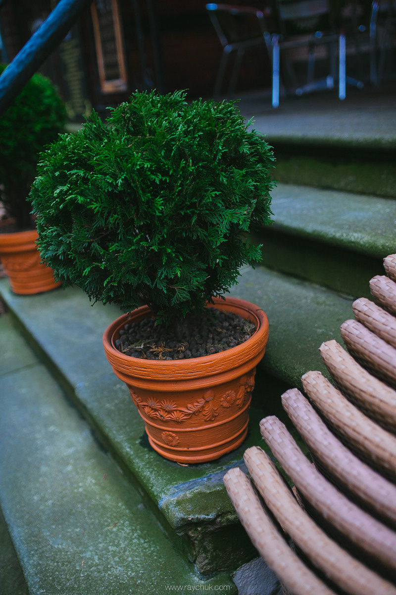Poland. Gdansk. Головна