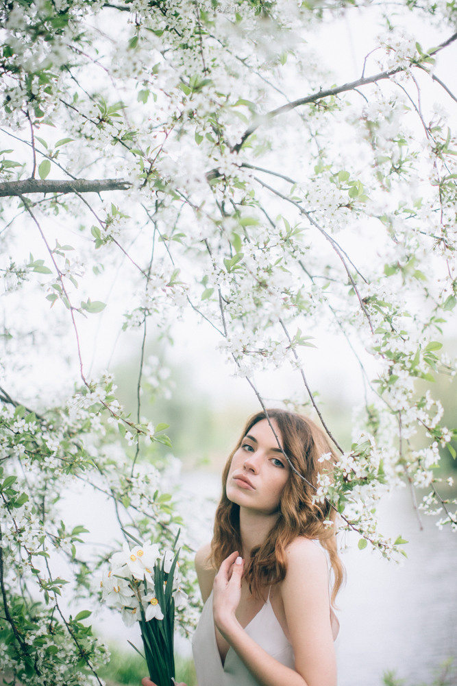 Анастасія. Головна