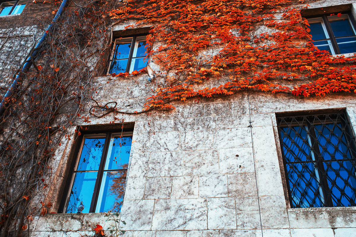 Poland. Krakow. Головна