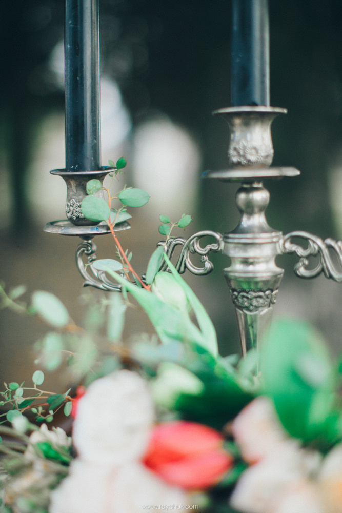 Dark elegance.Portrait. Головна