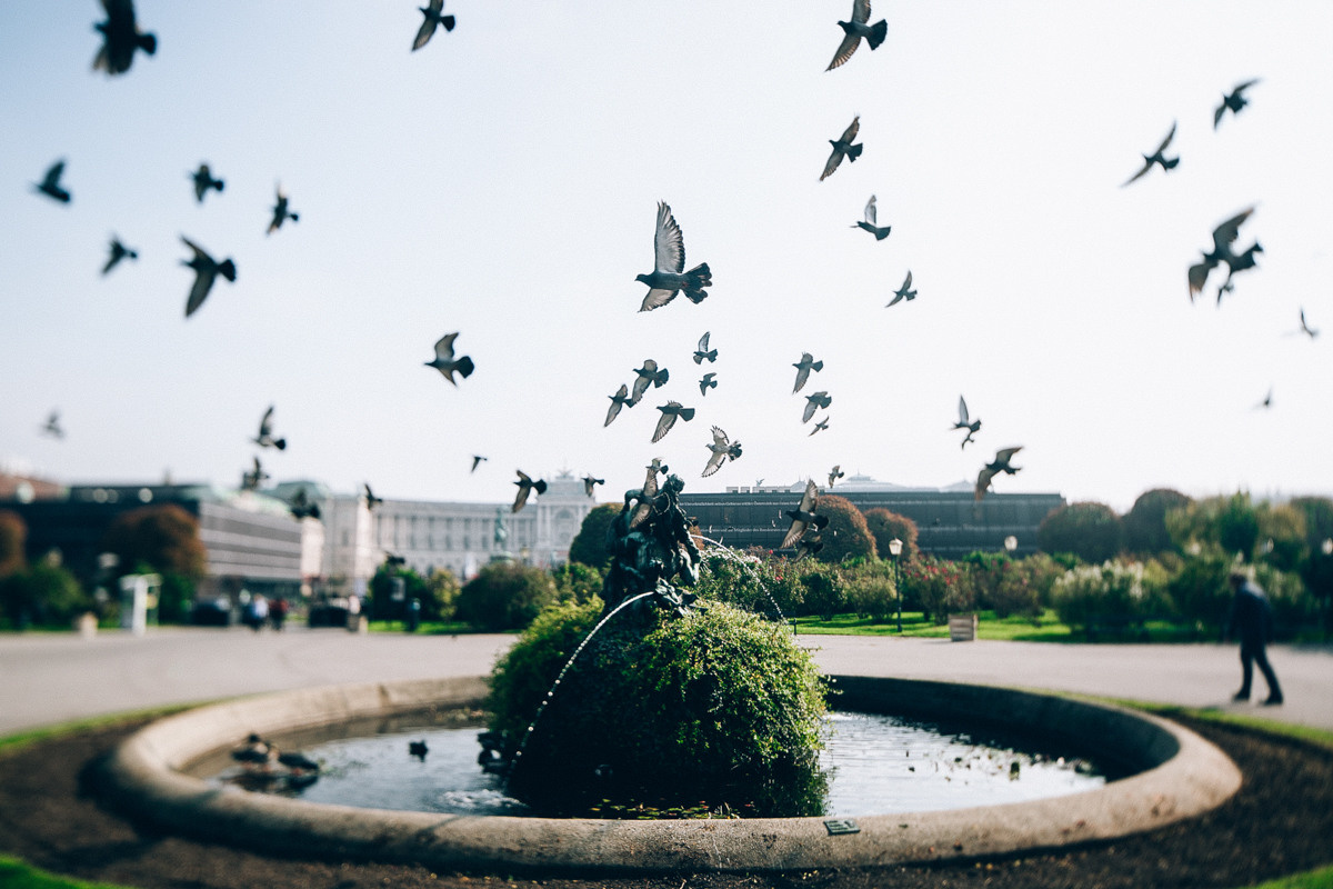 Austria. Wien. Головна