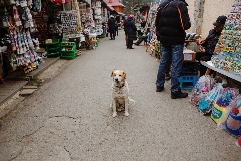 Ukraine. Precarpathian. Головна